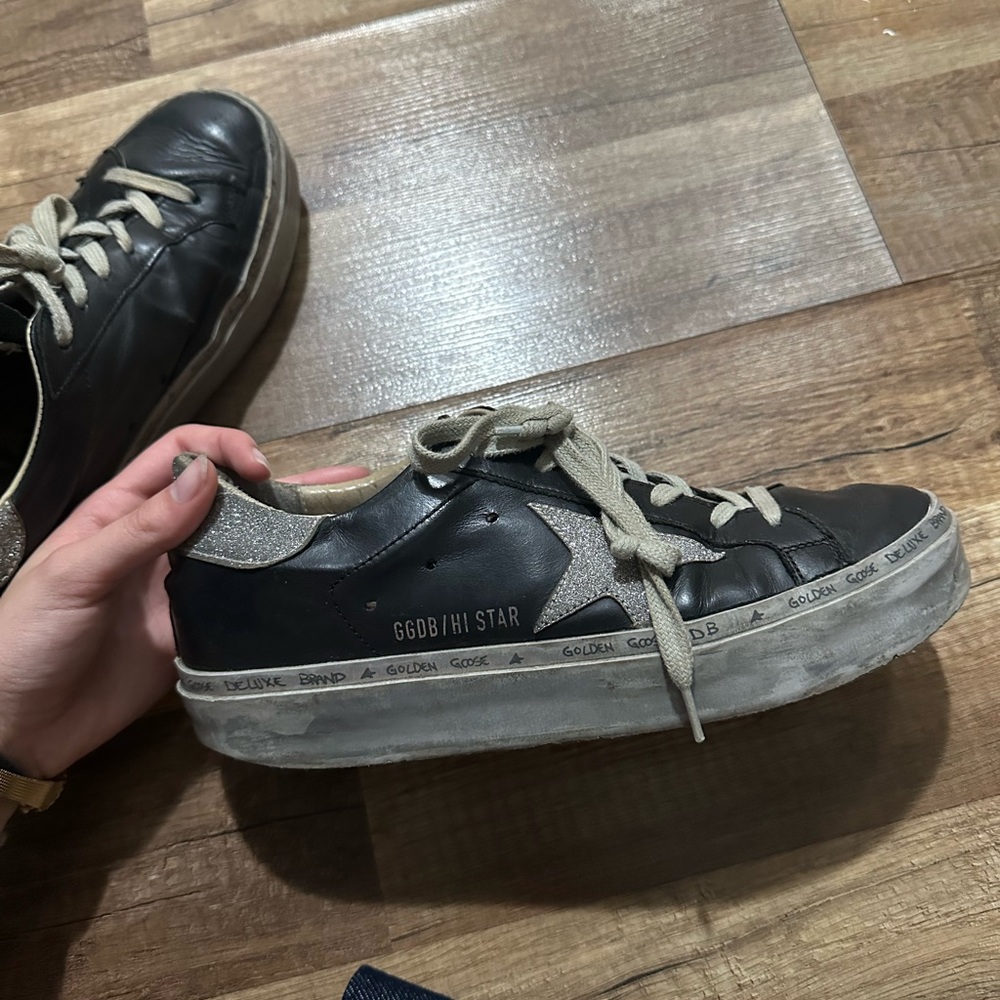 Black golden goose